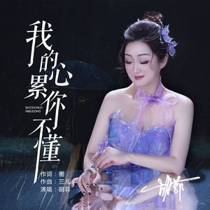 我的心累你不懂 伴奏