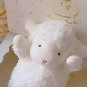 36.5°（翻自 音阙诗听）