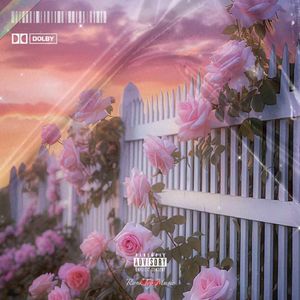 小小的Diamond Ring