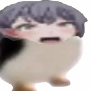 你是凑企鹅纯享