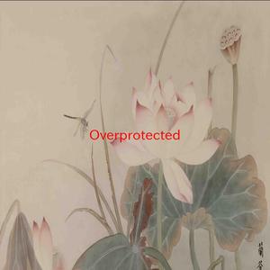 Overprotected (Instrumental version originally performed by Britney Spears)