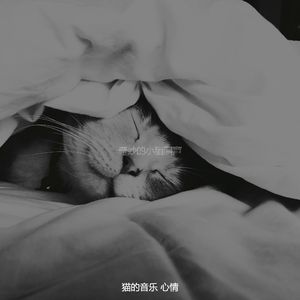 微妙的放松的猫心情