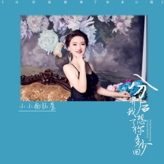 分开后我想了你多少回 (女版)