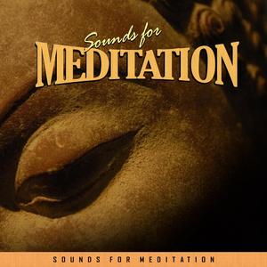 Guardian Angel Part II