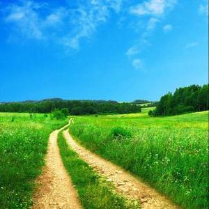 山顶的风景太美了