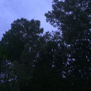 4:36 AM
