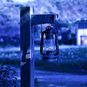 추억을 벗삼아 슬피 우는 노래