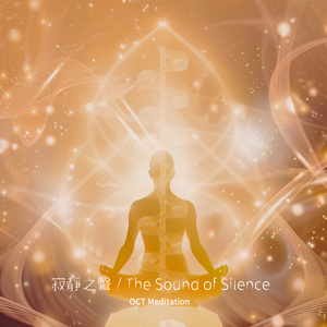 寂静之声 The Sound of Silence