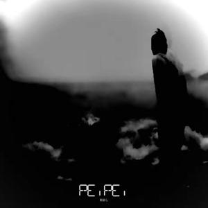 PeiPei（Remix）