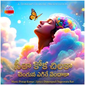 Seetha Koka Chilakaa