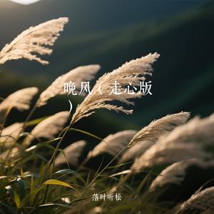 晚风（走心版）（Cover 云南三怪）