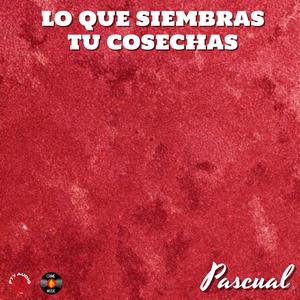 Lo Que Siembras Tu Cosechas