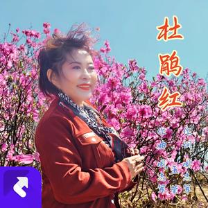 杜鹃红 (伴奏)