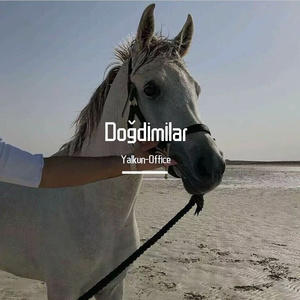 Doğdimilar