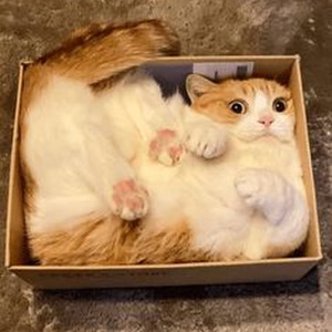 Fell In Luv (sped up)