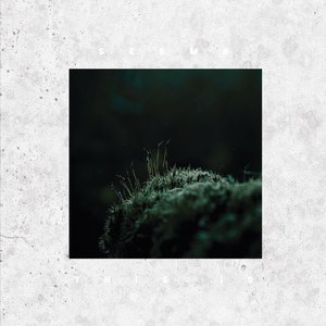 THIS IS (feat. grooveman Spot)