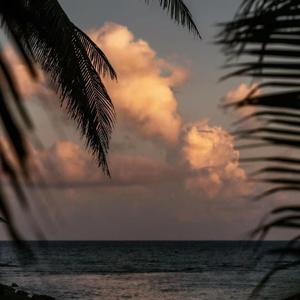 心之所向（欢快版）