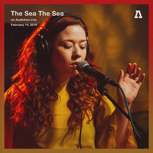 Phototropic (Audiotree Live Version)