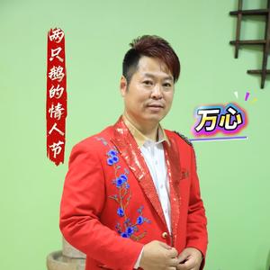 两只鹅的情人节