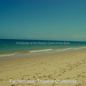 Christmas at the Beach Away in a Manger