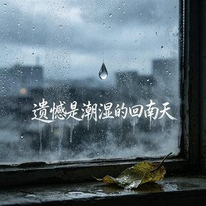 遗憾是潮湿的回南天