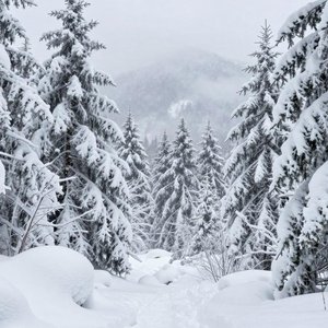 十二月的雪-相见难别亦难