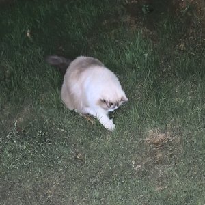 霓虹灯映下的心动