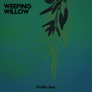 Weeping Willow