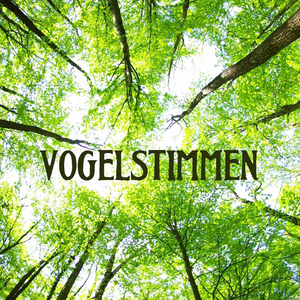 Beethoven - Sonata No. 1, Op. 2 No. 1 (New Age Excerpt)