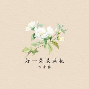好一朵茉莉花 -木小雅 伴奏