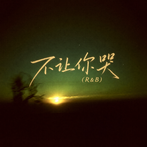 不让你哭R&B