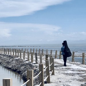 回到北方