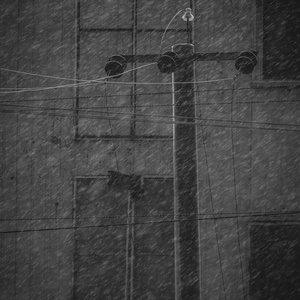 March Rain
