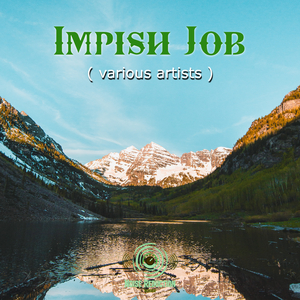 Application (original mix)