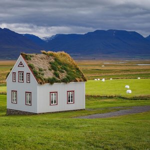 Rodeo Of Discotheque