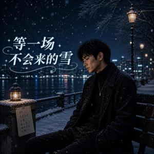 《等一场不会来的雪》