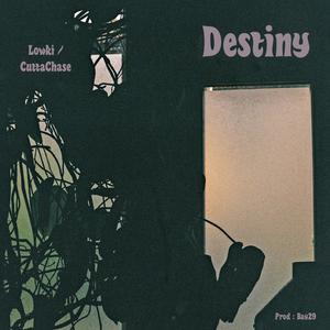 Destiny (feat. Lowki)