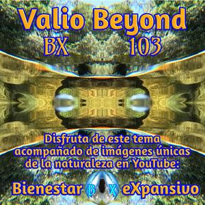 BX 103 Carrusel de Fantasía