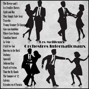 Spice Islands Sea Birds