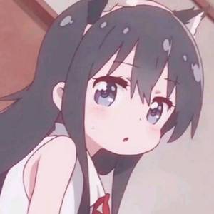 托尔加
