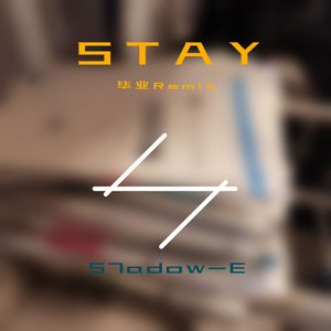 The Kid LAROI-STAY(Final)（S7adow-E remix）