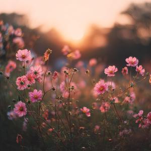 미련이란 게 참