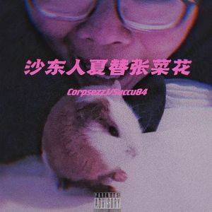 沙东人夏替张菜花