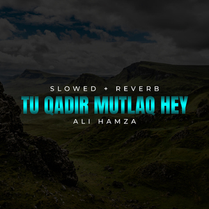 Tu Qadir Mutlaq Hey Lofi