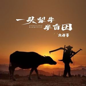一头犁牛半亩田