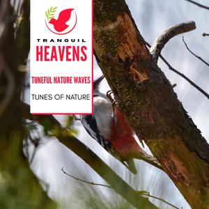 Antiphonal Lizard Chorus