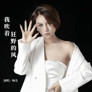 我吹着狂野的风