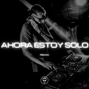 Ahora Estoy Solo (Remix)