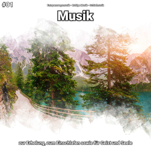 Entspannungsmusik, Pt. 4