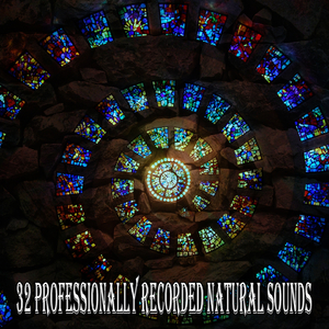 Tea In The Chinese Gardens